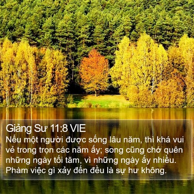Giảng Sư 11:8 VIE Bible Verse Image
