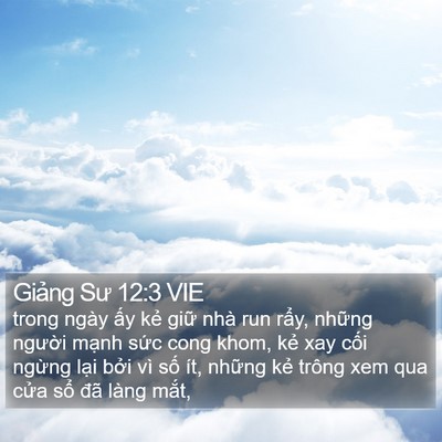 Giảng Sư 12:3 VIE Bible Verse Image