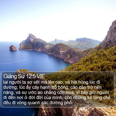 Giảng Sư 12:5 VIE Bible Verse Image