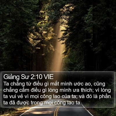 Giảng Sư 2:10 VIE Bible Verse Image