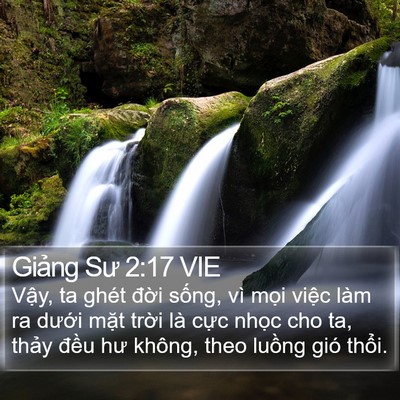 Giảng Sư 2:17 VIE Bible Verse Image
