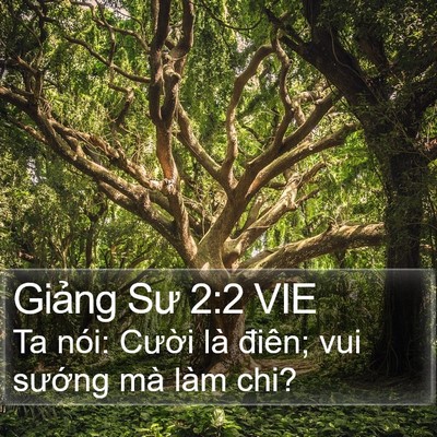 Giảng Sư 2:2 VIE Bible Verse Image