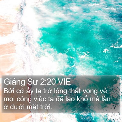 Giảng Sư 2:20 VIE Bible Verse Image