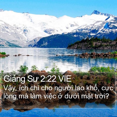 Giảng Sư 2:22 VIE Bible Verse Image