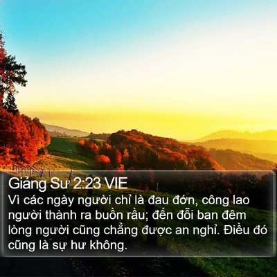 Giảng Sư 2:23 VIE Bible Verse Image