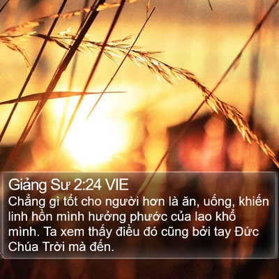Giảng Sư 2:24 VIE Bible Verse Image