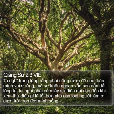 Giảng Sư 2:3 VIE Bible Verse Image