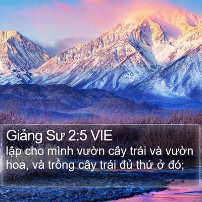 Giảng Sư 2:5 VIE Bible Verse Image