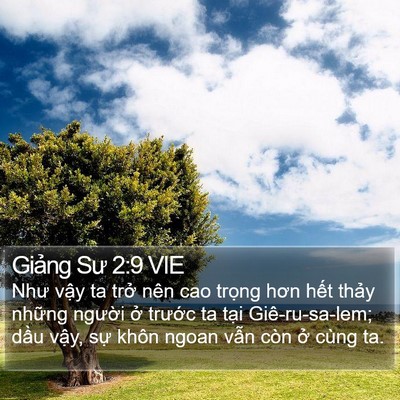 Giảng Sư 2:9 VIE Bible Verse Image
