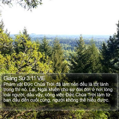 Giảng Sư 3:11 VIE Bible Verse Image