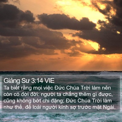 Giảng Sư 3:14 VIE Bible Verse Image