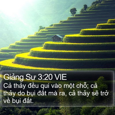 Giảng Sư 3:20 VIE Bible Verse Image