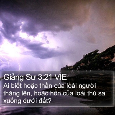 Giảng Sư 3:21 VIE Bible Verse Image