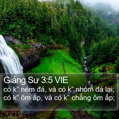 Giảng Sư 3:5 VIE Bible Verse Image