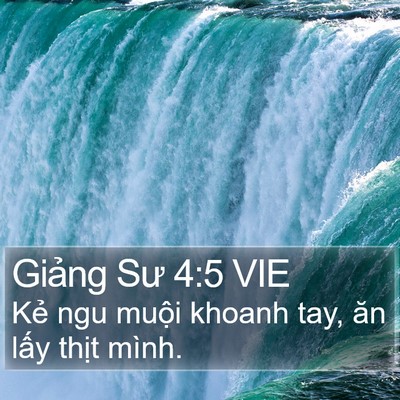 Giảng Sư 4:5 VIE Bible Verse Image
