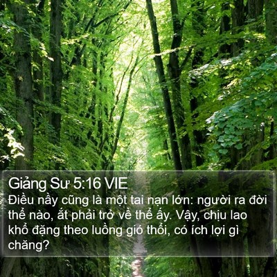 Giảng Sư 5:16 VIE Bible Verse Image
