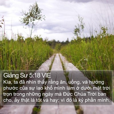 Giảng Sư 5:18 VIE Bible Verse Image