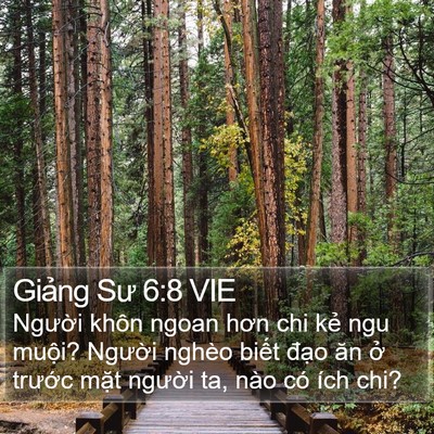 Giảng Sư 6:8 VIE Bible Verse Image