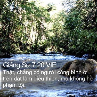 Giảng Sư 7:20 VIE Bible Verse Image