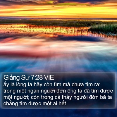 Giảng Sư 7:28 VIE Bible Verse Image