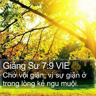 Giảng Sư 7:9 VIE Bible Verse Image