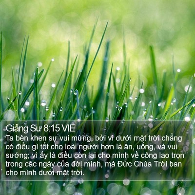 Giảng Sư 8:15 VIE Bible Verse Image