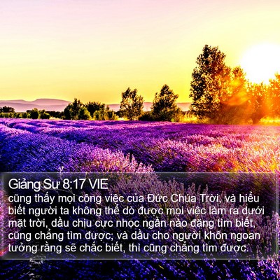 Giảng Sư 8:17 VIE Bible Verse Image