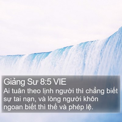 Giảng Sư 8:5 VIE Bible Verse Image