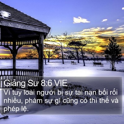 Giảng Sư 8:6 VIE Bible Verse Image