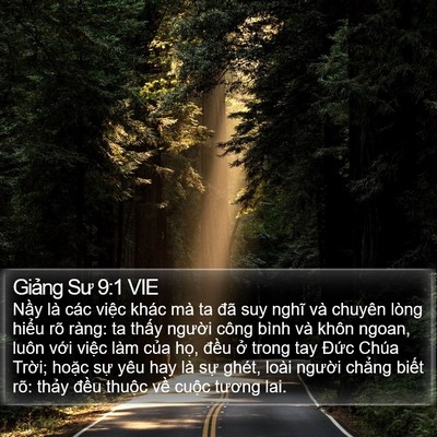 Giảng Sư 9:1 VIE Bible Verse Image
