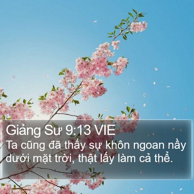 Giảng Sư 9:13 VIE Bible Verse Image