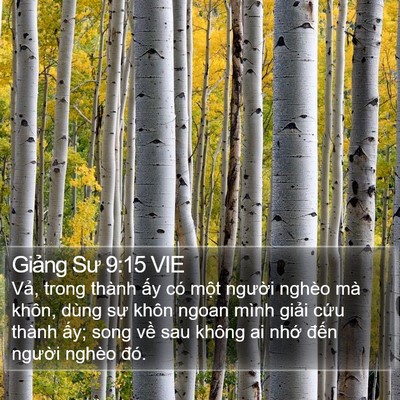 Giảng Sư 9:15 VIE Bible Verse Image