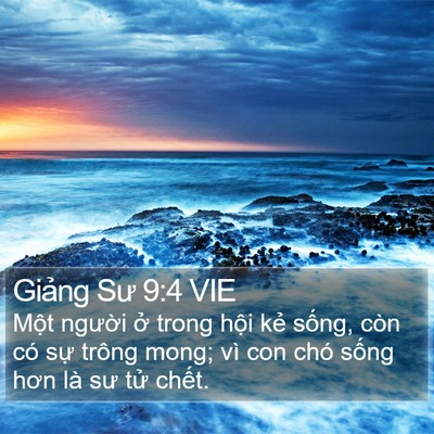 Giảng Sư 9:4 VIE Bible Verse Image