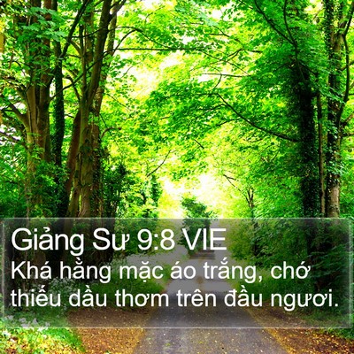 Giảng Sư 9:8 VIE Bible Verse Image