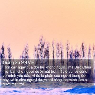 Giảng Sư 9:9 VIE Bible Verse Image