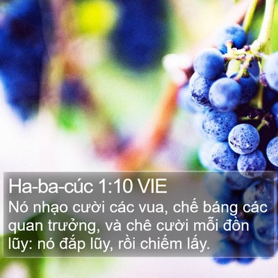 Ha-ba-cúc 1:10 VIE Bible Verse Image