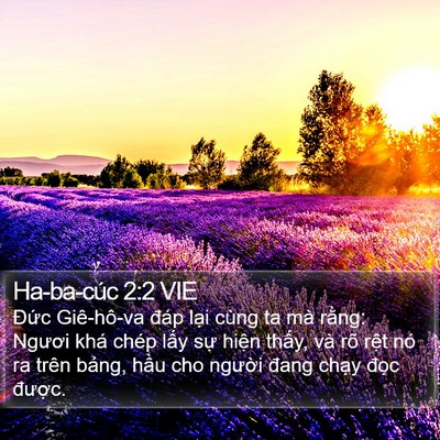 Ha-ba-cúc 2:2 VIE Bible Verse Image