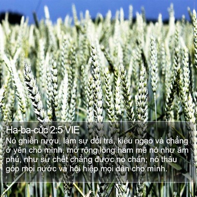 Ha-ba-cúc 2:5 VIE Bible Verse Image