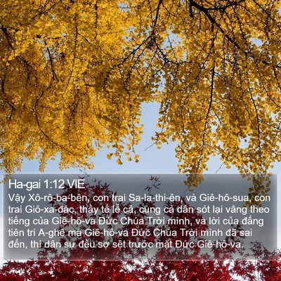 Ha-gai 1:12 VIE Bible Verse Image