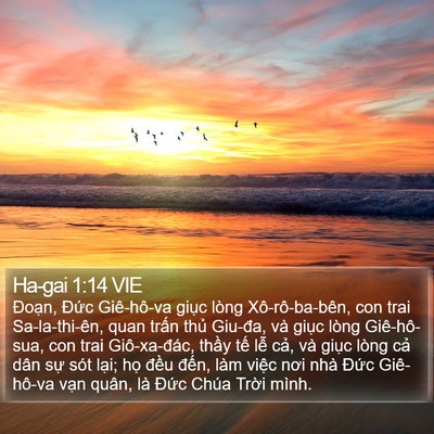 Ha-gai 1:14 VIE Bible Verse Image