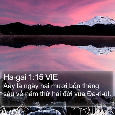 Ha-gai 1:15 VIE Bible Verse Image