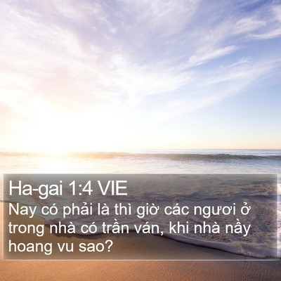 Ha-gai 1:4 VIE Bible Verse Image