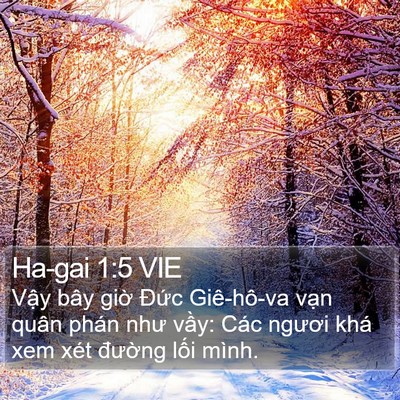 Ha-gai 1:5 VIE Bible Verse Image
