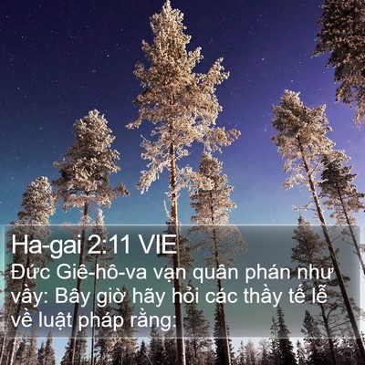 Ha-gai 2:11 VIE Bible Verse Image