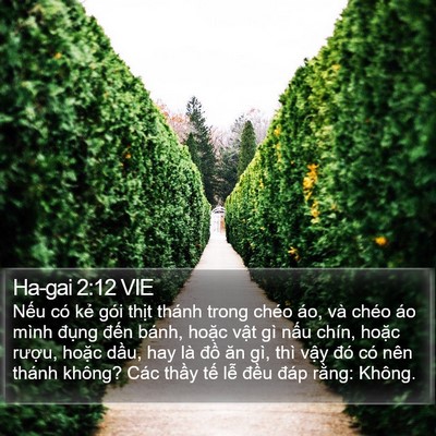 Ha-gai 2:12 VIE Bible Verse Image