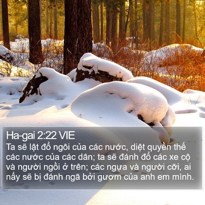 Ha-gai 2:22 VIE Bible Verse Image