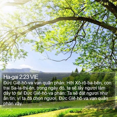 Ha-gai 2:23 VIE Bible Verse Image