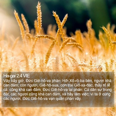 Ha-gai 2:4 VIE Bible Verse Image