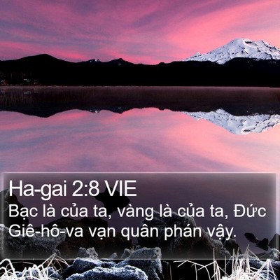 Ha-gai 2:8 VIE Bible Verse Image