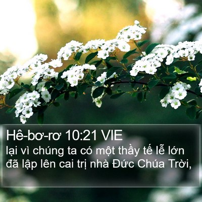 Hê-bơ-rơ 10:21 VIE Bible Verse Image